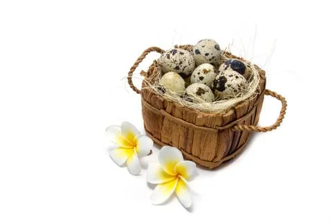 Easter egg Stock Photos