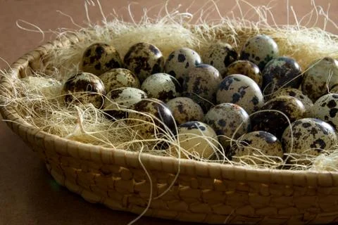 Easter egg Stock Photos