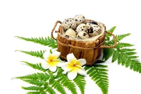 Easter egg Stock Photos