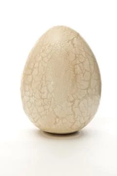 Easter egg Stock Photos