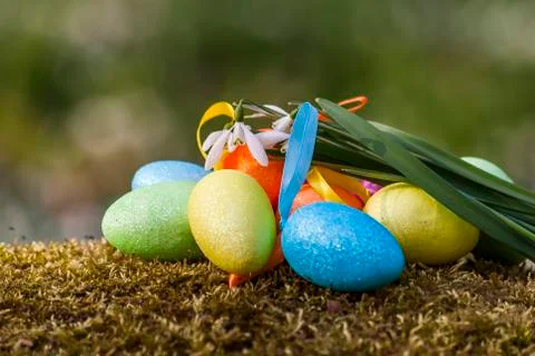 Easter egg Stock Photos