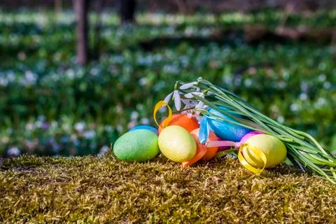 Easter egg Stock Photos