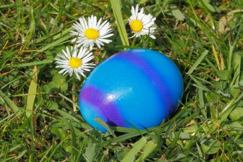 Easter egg Stock Photos