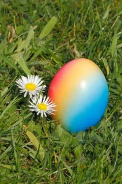 Easter egg Foto stock