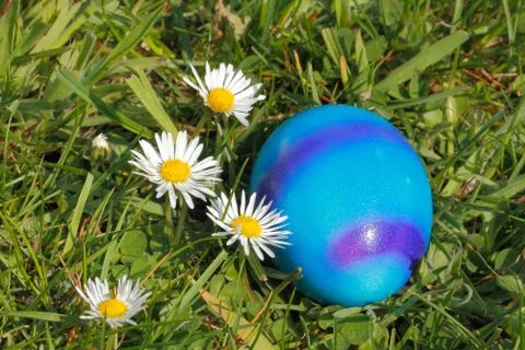 Easter egg Stock Photos