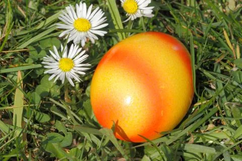 Easter egg Stock Photos