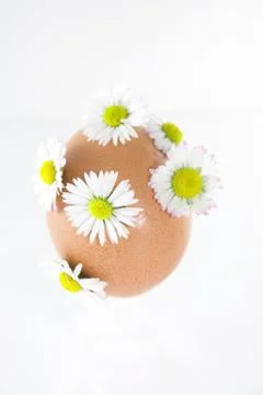 Easter egg Stock Photos