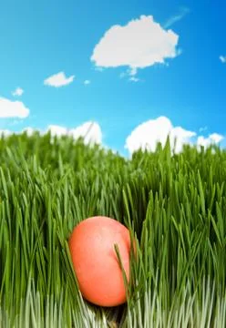 Easter egg Stock Photos