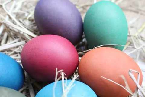 Easter egg Stock Photos