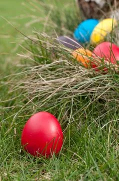 Easter egg Stock Photos