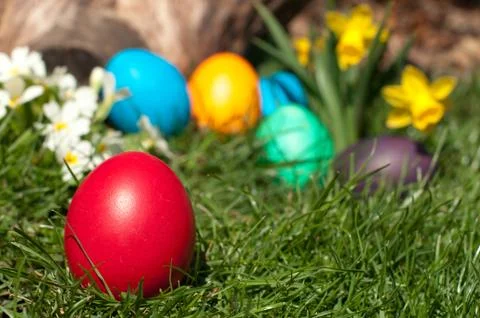 Easter egg Stock Photos
