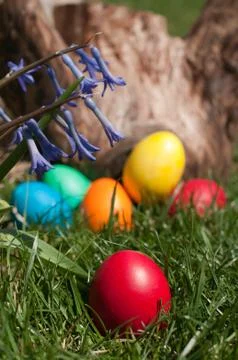 Easter egg Stock Photos
