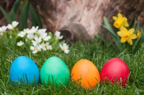 Easter egg Stock Photos