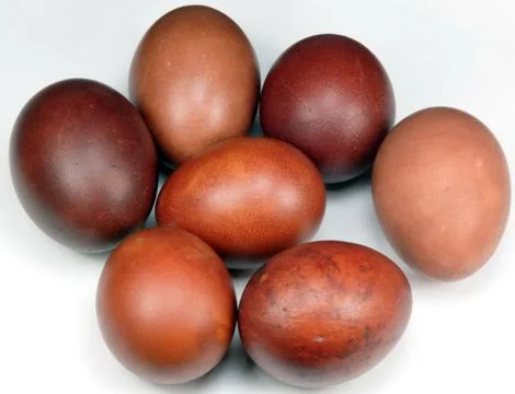 Easter egg Foto stock