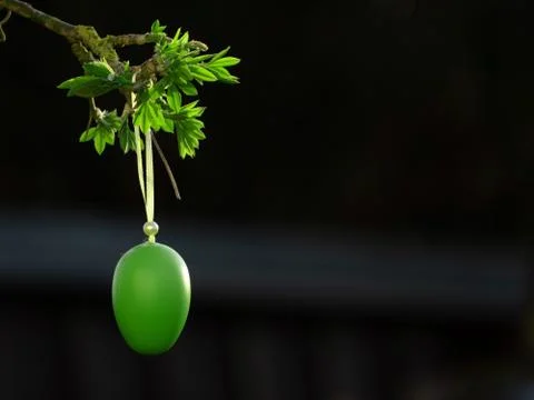 Easter egg Stock Photos