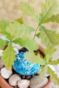 Easter egg 스톡 사진