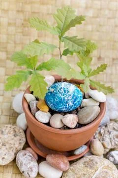 Easter egg 写真素材