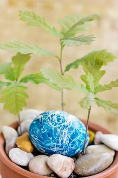 Easter egg 스톡 사진