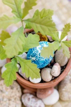 Easter egg Stock Photos