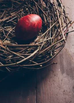 Easter Egg Fotos de archivo