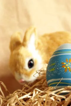 Easter Egg Stock Photos