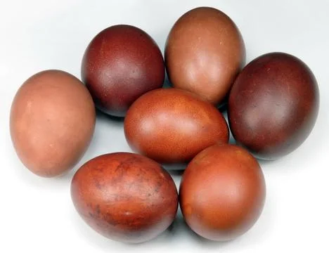 Easter egg Stock Photos