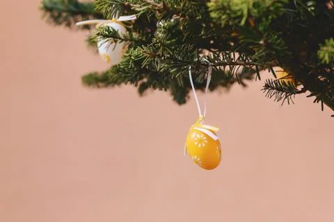 Easter egg on pine branch Stock-Fotos