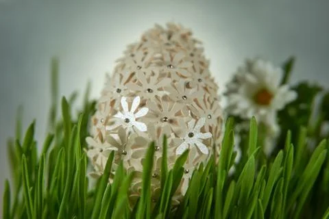 Easter egg placed between frech green wheat germs Stock Photos