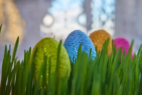 Easter egg placed between frech green wheat germs Stock Photos