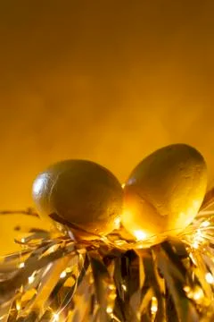 Easter egg rabbit concept on a nest. Stock Photos