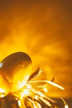 Easter egg rabbit concept on a nest. Stock Photos