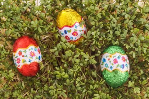 Easter egg ready to be found Stock Photos