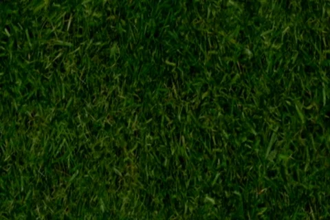 Easter Egg Roll Stock Footage 335035