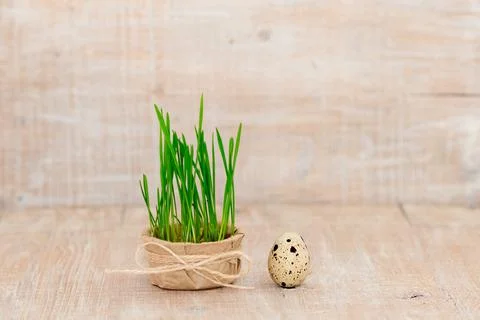 Easter egg on a rustic wooden background Stock Photos