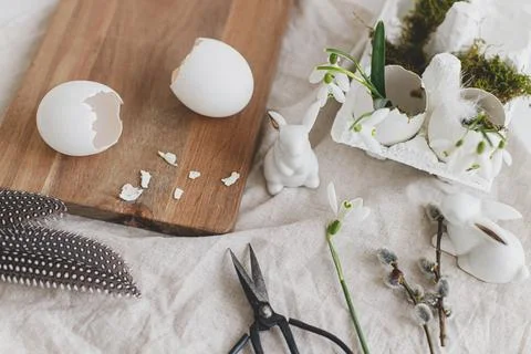 Easter egg shells with blooming snowdrops and cute bunny figurine on rural .. Stock Photos