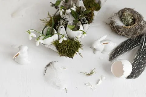 Easter egg shells with blooming snowdrops, bunny figurines, feathers, nest .. Stock Photos