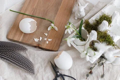 Easter egg shells with blooming snowdrops and cute bunny. Easter rustic sti.. Stock Photos