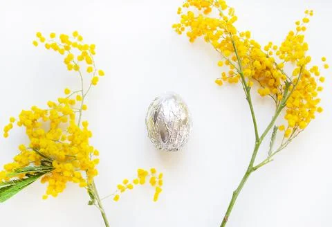 Easter egg in silver foil with sprigs of willow on a white background. Stock Photos