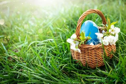 Easter egg in a small basket. Branches of cherry blossoms at Easter. Spring Stock Photos