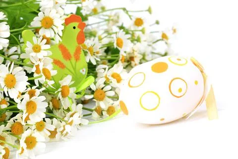 Easter egg on spring background daisy with blurred focus Stock Photos