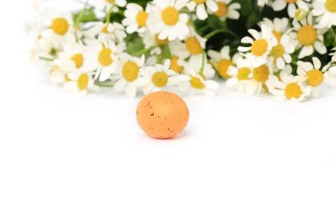 Easter egg on spring background daisy with blurred focus Foto stock