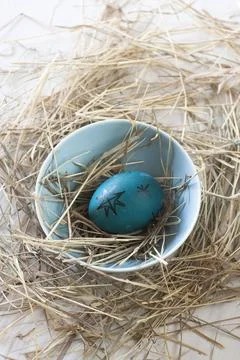 Easter egg in straw plate on a white background Foto stock