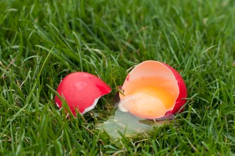 Easter egg surprise Stock Photos