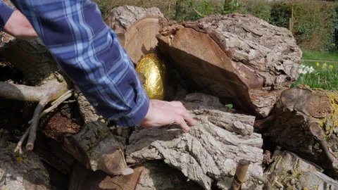 Easter egg trail on Easter Sunday Stock Footage 151797269