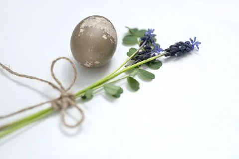 Easter egg, twine and mouse hyacinth on a white background. easter spring f.. Foto stock