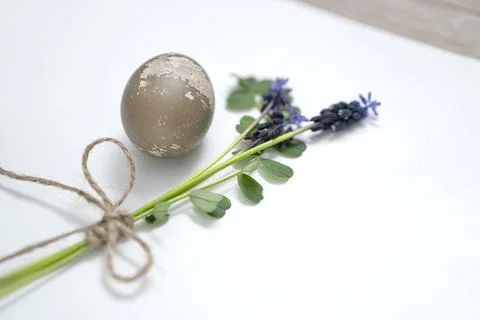 Easter egg, twine and mouse hyacinth on a white background. easter spring f.. Stock Photos