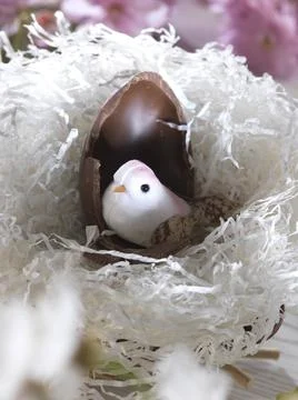 Easter egg on a white background Stock Photos