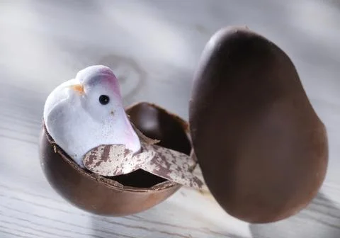 Easter egg on a white background Stock Photos
