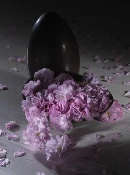 Easter egg on a white background Stock Photos