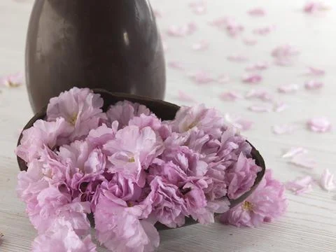 Easter egg on a white background Stock Photos